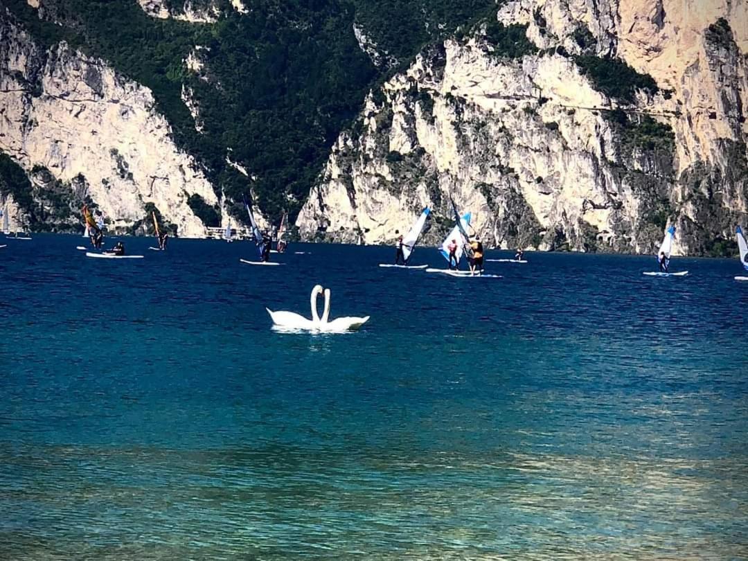 Infinite Blue Διαμέρισμα Ρίβα ντελ Γκάρντα Εξωτερικό φωτογραφία